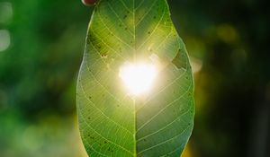 Preview wallpaper leaf, heart, light, macro