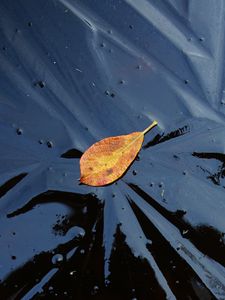 Preview wallpaper leaf, ice, autumn, nature