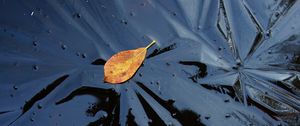 Preview wallpaper leaf, ice, autumn, nature