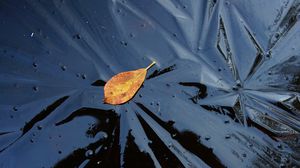 Preview wallpaper leaf, ice, autumn, nature