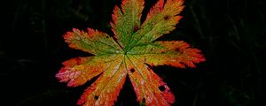 Preview wallpaper leaf, macro, darkness, autumn