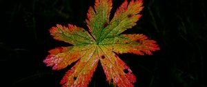 Preview wallpaper leaf, macro, darkness, autumn