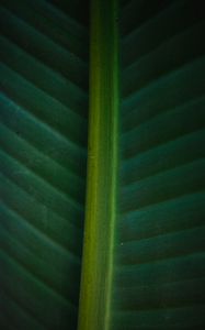Preview wallpaper leaf, macro, green, veins, stripes