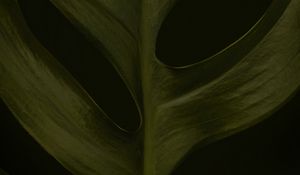 Preview wallpaper leaf, macro, green, dark, surface