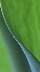Preview wallpaper leaf, macro, greenery, blur