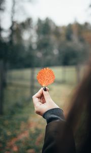 Preview wallpaper leaf, macro, hand, focus, autumn