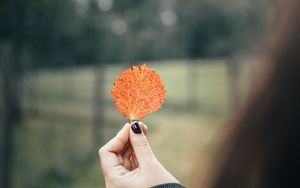 Preview wallpaper leaf, macro, hand, focus, autumn