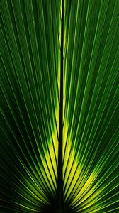 Preview wallpaper leaf, macro, plant, stripes, green