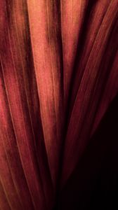 Preview wallpaper leaf, macro, stripes, surface