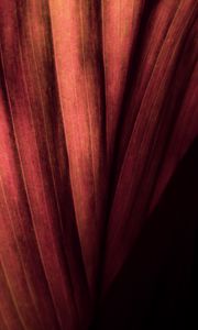 Preview wallpaper leaf, macro, stripes, surface