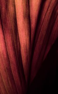 Preview wallpaper leaf, macro, stripes, surface