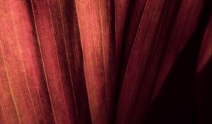Preview wallpaper leaf, macro, stripes, surface