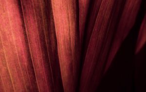 Preview wallpaper leaf, macro, stripes, surface