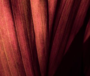 Preview wallpaper leaf, macro, stripes, surface