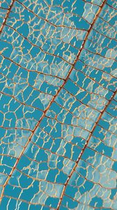 Preview wallpaper leaf, macro, veins, sky