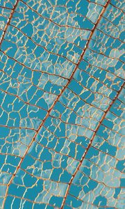 Preview wallpaper leaf, macro, veins, sky