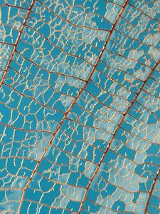 Preview wallpaper leaf, macro, veins, sky