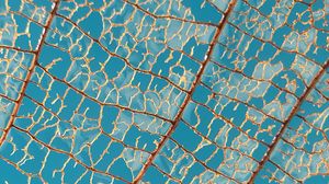 Preview wallpaper leaf, macro, veins, sky