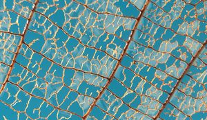 Preview wallpaper leaf, macro, veins, sky