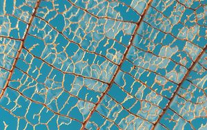 Preview wallpaper leaf, macro, veins, sky
