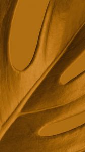 Preview wallpaper leaf, macro, yellow, plant