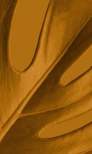 Preview wallpaper leaf, macro, yellow, plant
