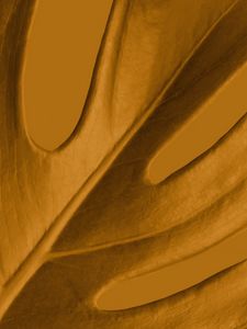 Preview wallpaper leaf, macro, yellow, plant