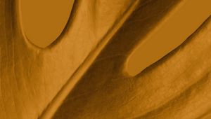 Preview wallpaper leaf, macro, yellow, plant