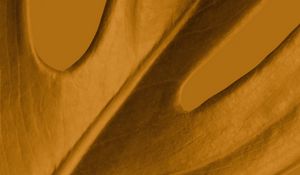 Preview wallpaper leaf, macro, yellow, plant