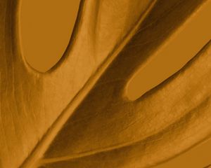 Preview wallpaper leaf, macro, yellow, plant