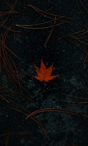 Preview wallpaper leaf, maple, asphalt, autumn