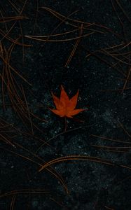 Preview wallpaper leaf, maple, asphalt, autumn