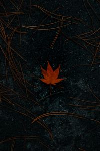 Preview wallpaper leaf, maple, asphalt, autumn