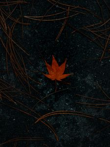 Preview wallpaper leaf, maple, asphalt, autumn