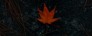 Preview wallpaper leaf, maple, asphalt, autumn