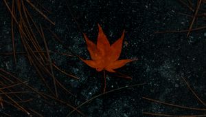 Preview wallpaper leaf, maple, asphalt, autumn