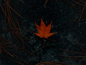Preview wallpaper leaf, maple, asphalt, autumn
