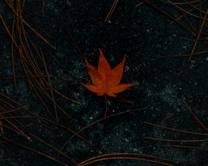 Preview wallpaper leaf, maple, asphalt, autumn