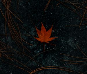 Preview wallpaper leaf, maple, asphalt, autumn