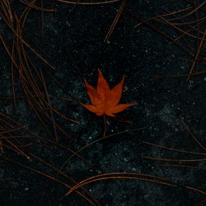 Preview wallpaper leaf, maple, asphalt, autumn