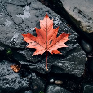 Preview wallpaper leaf, maple, autumn, stone