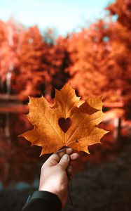 Preview wallpaper leaf, maple, autumn, heart, hand, blur