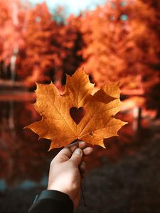 Preview wallpaper leaf, maple, autumn, heart, hand, blur