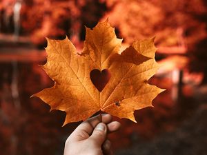 Preview wallpaper leaf, maple, autumn, heart, hand, blur