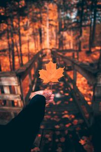 Preview wallpaper leaf, maple, autumn, hand