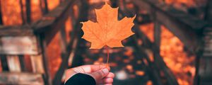 Preview wallpaper leaf, maple, autumn, hand