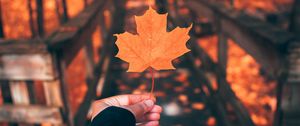 Preview wallpaper leaf, maple, autumn, hand