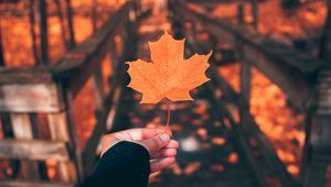 Preview wallpaper leaf, maple, autumn, hand