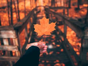 Preview wallpaper leaf, maple, autumn, hand