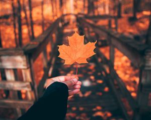 Preview wallpaper leaf, maple, autumn, hand